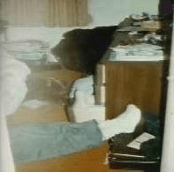 This image has an empty alt attribute; its file name is image-316.png